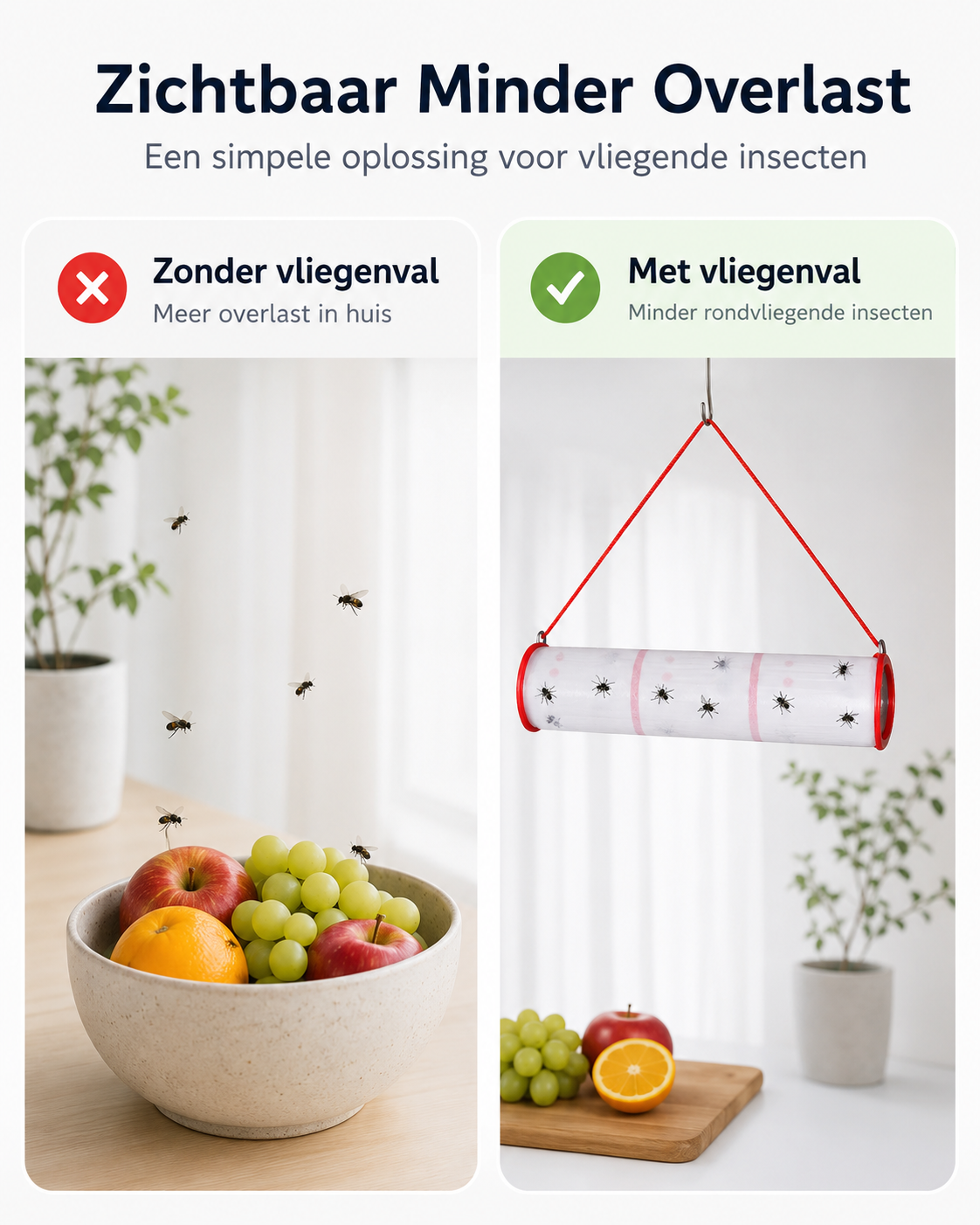Vliegenvanger Rol
