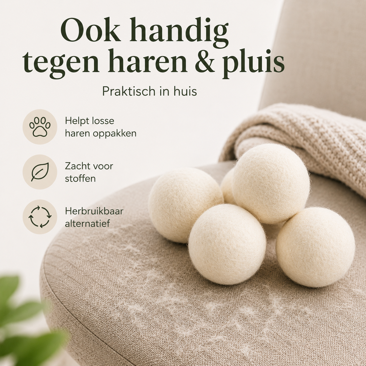 Duurzame Wasdroger Ballen