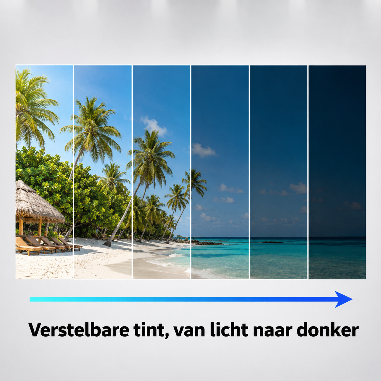 De Retro Zonnebril met Verstelbare Tint