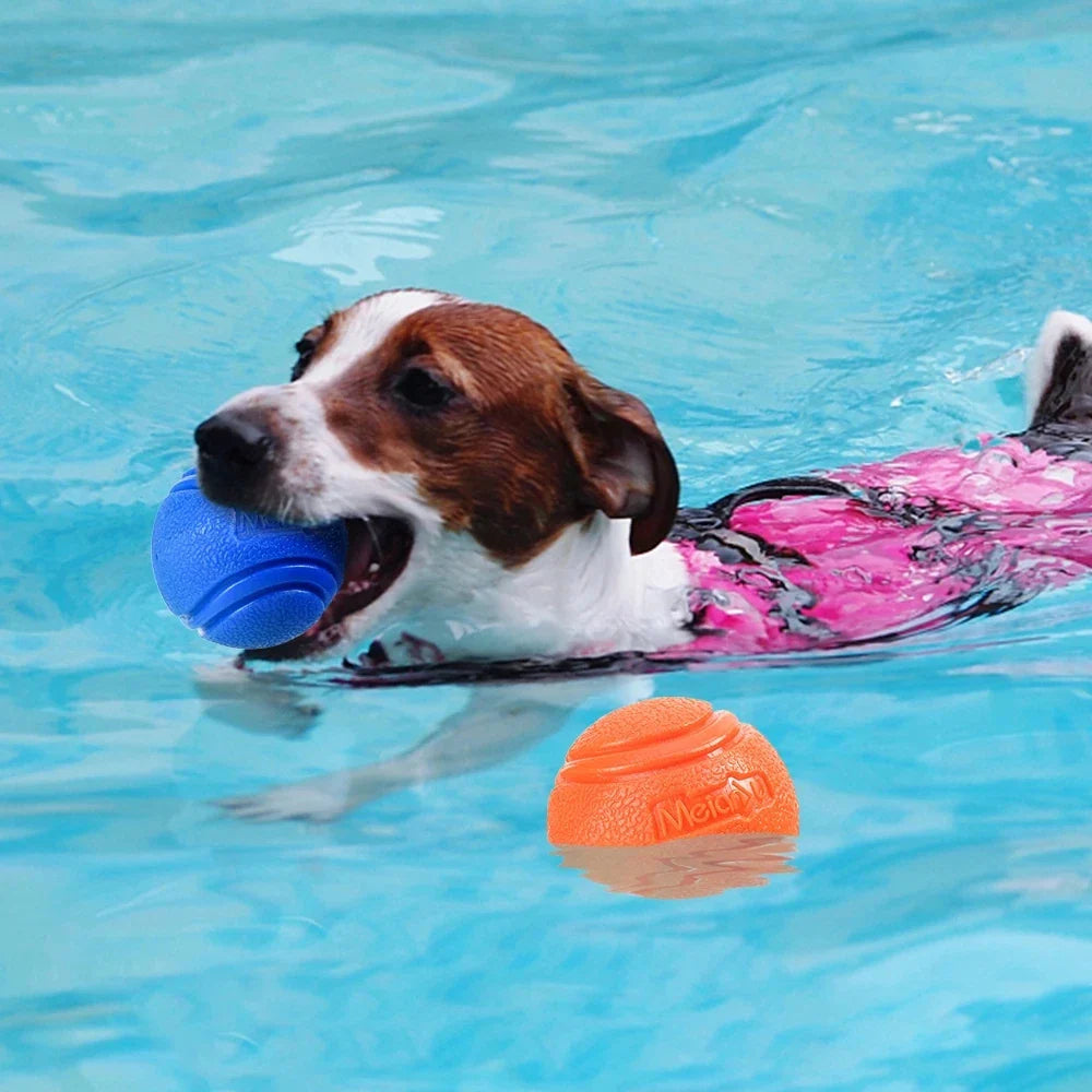 Veerkrachtige Speelbal voor Honden