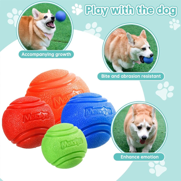 Veerkrachtige Speelbal voor Honden