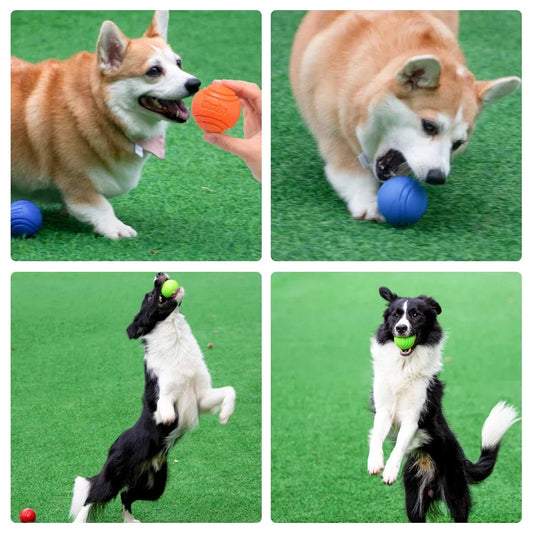 Veerkrachtige Speelbal voor Honden