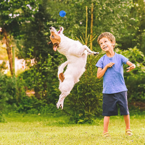 Pet-Dog-Toys-Dog-Ball-Dog-Bouncy-Rubber-Solid-Ball-Resistance-to-Dog-Chew-Toys-Outdoor.jpg