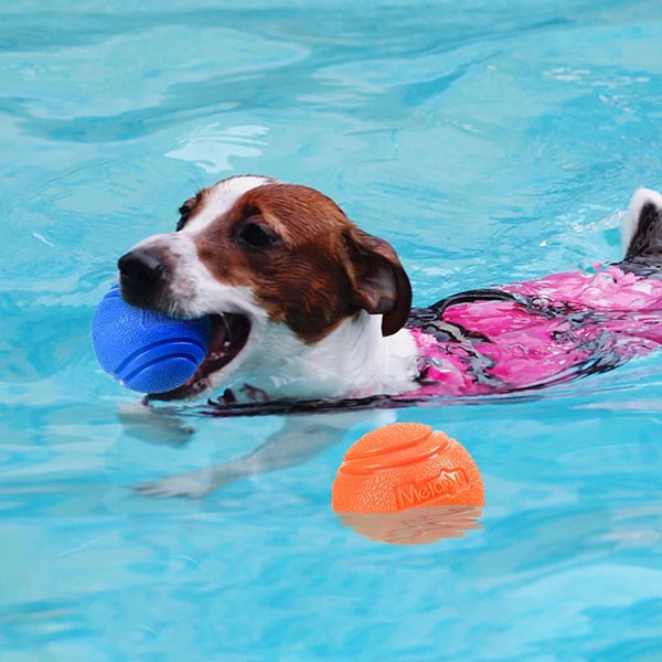 Veerkrachtige Speelbal voor Honden
