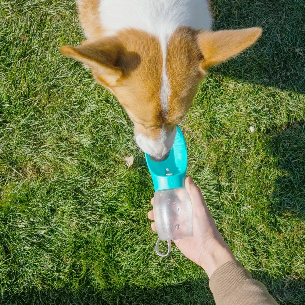 Eindelijk een drinkfles voor je hond die niet lekt in je tas