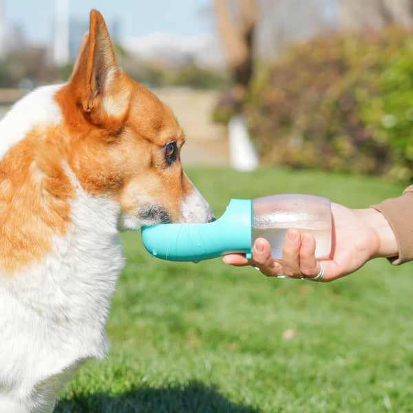 Pet-Dog-Water-Bottle-300ML-Puppy-Drinking-Bowls-For-Small-Medium-Dogs-Cats-Hiking-Portable-Cat.jpg